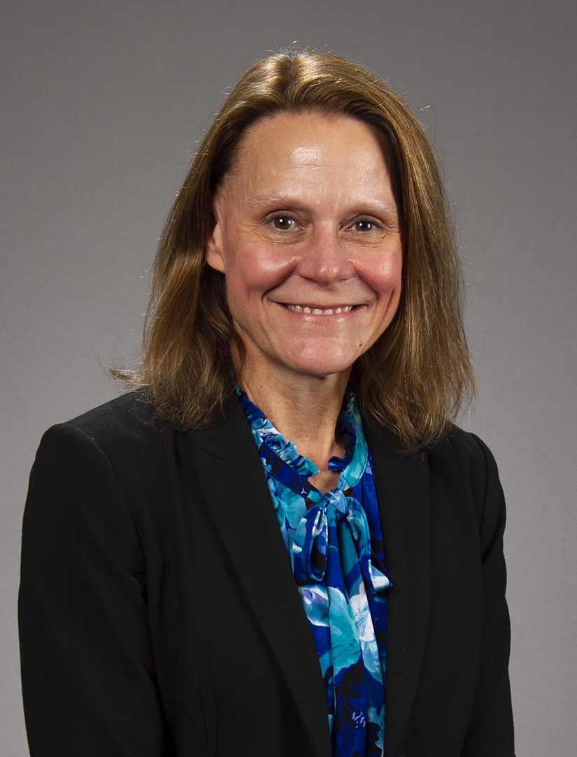 CES Director Search 2023